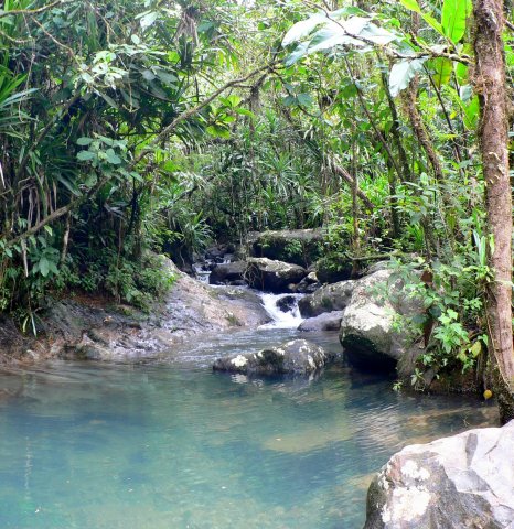45- Une riviere dans le parc national de Waisali 